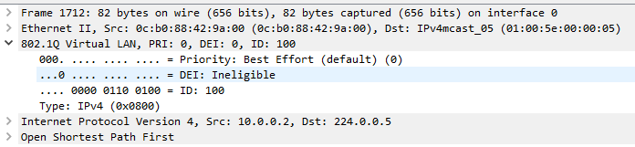 EVN VNET OSPF Capture