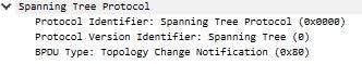 STP TCN BPDU Format