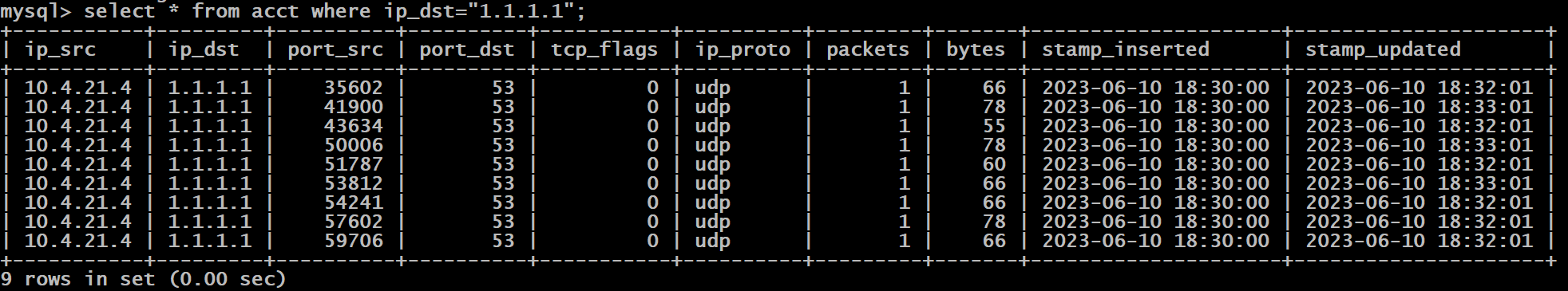 DNS Flow Records in Database from 1.1.1.1