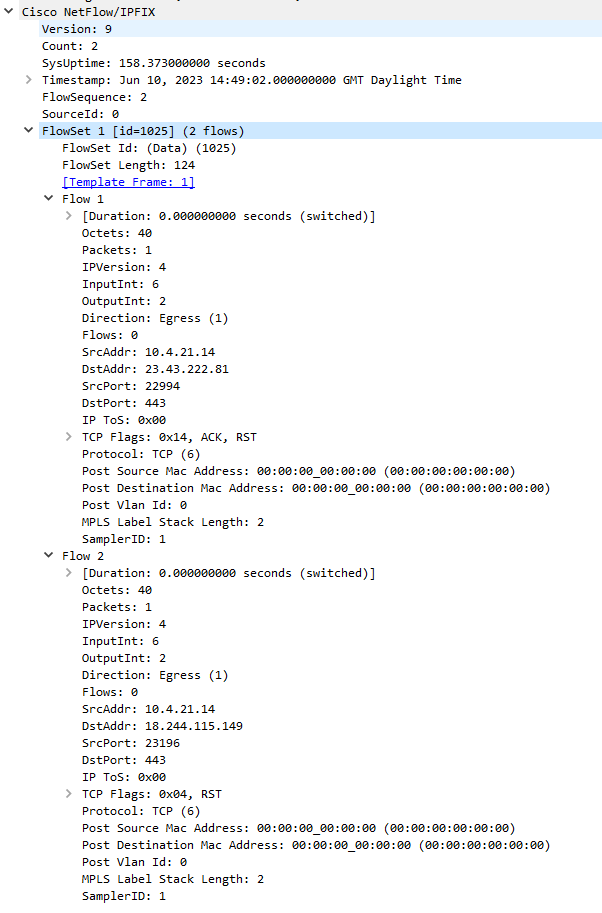 NetFlow Data FlowSet