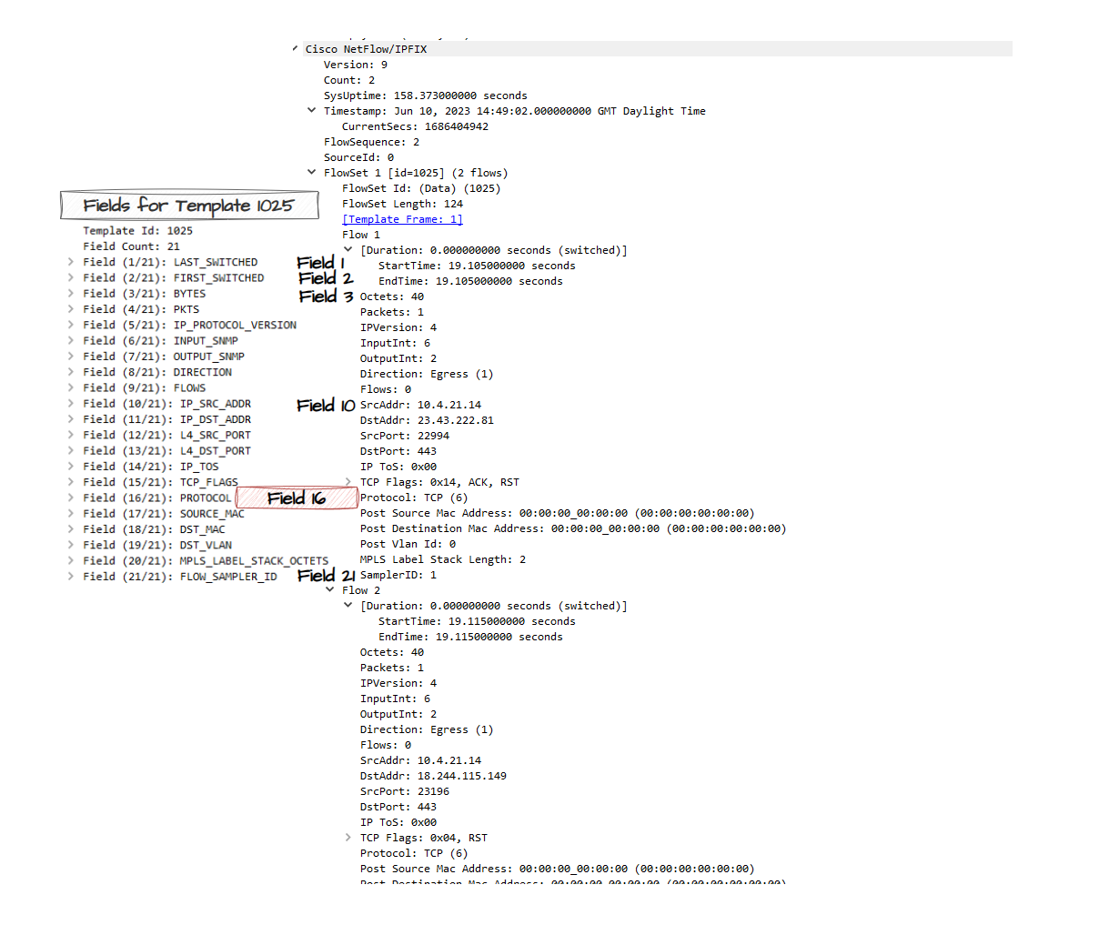 NetFlow Data FlowSet Fields