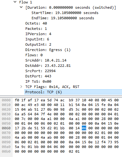 NetFlow Data Flow Byte level